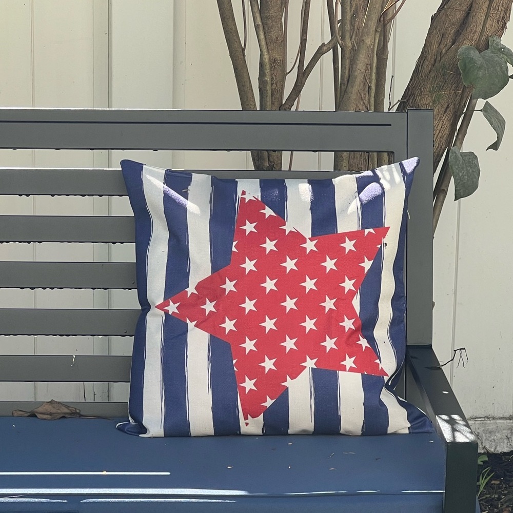 Indoor Outdoor pillow